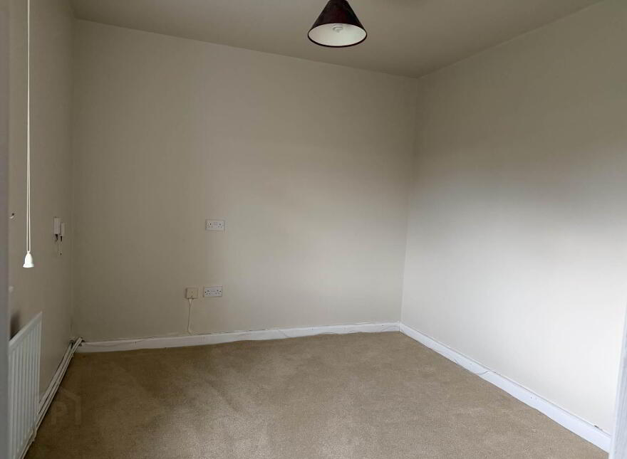 Shady Pines, Derrin, Borris In Ossory, R32K5W5
