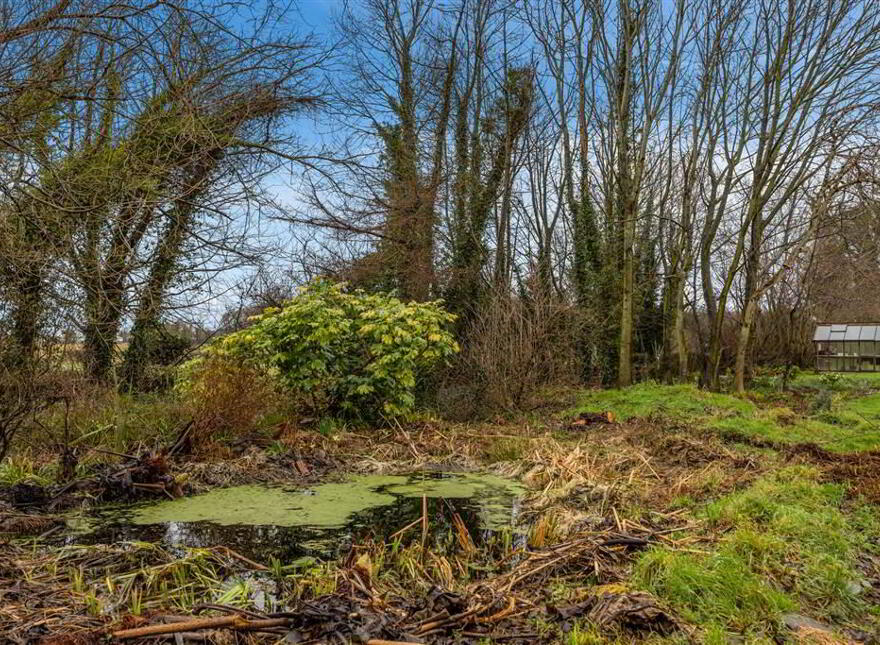 63 Killough Road, Downpatrick, BT30 8BN
