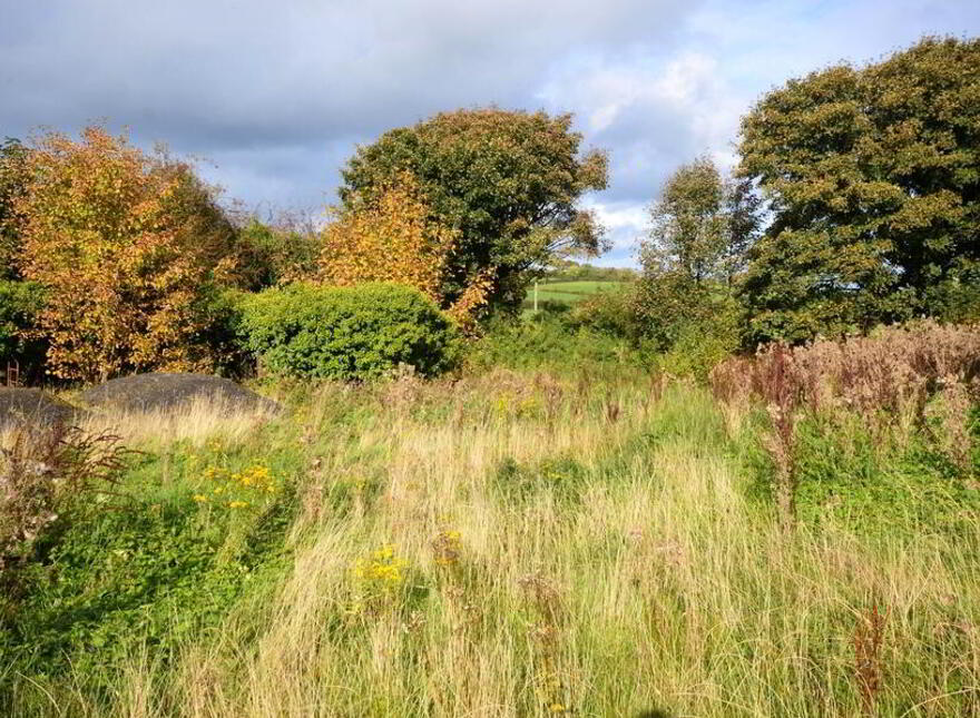 Drumoghill, Manorcunningham, F92K5P0