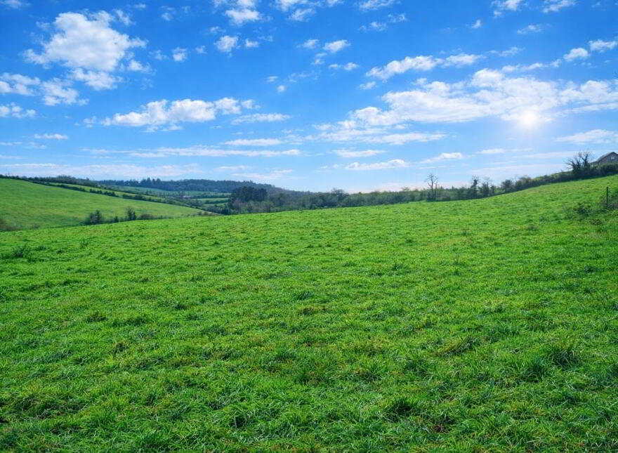 C.50ac At Killylaragh, Emyvale