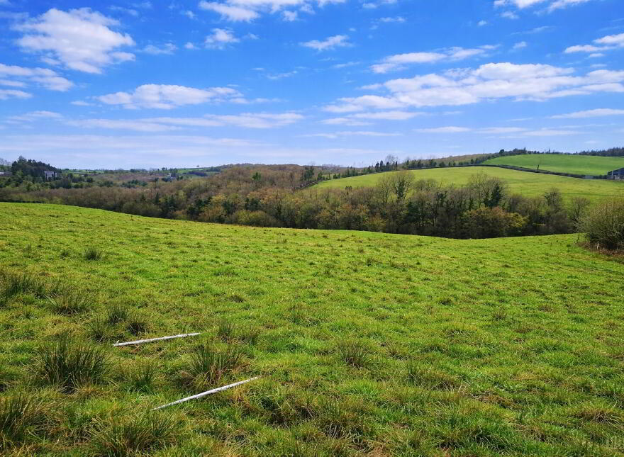 C.50ac At Killylaragh, Emyvale
