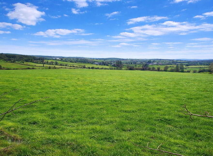 C 50ac Killylaragh, Emyvale