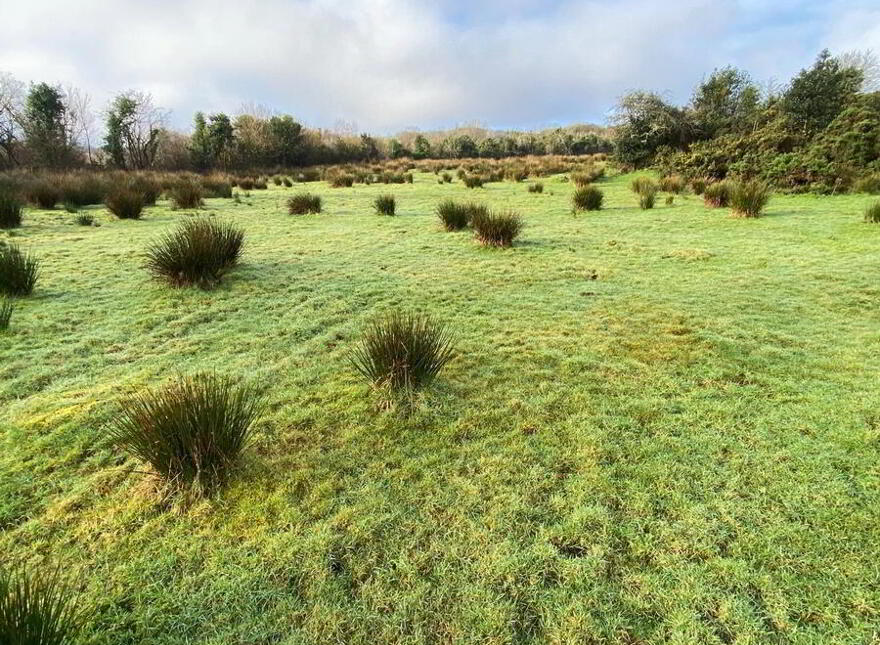 Mullanchose, Ballybofey, F93FC93