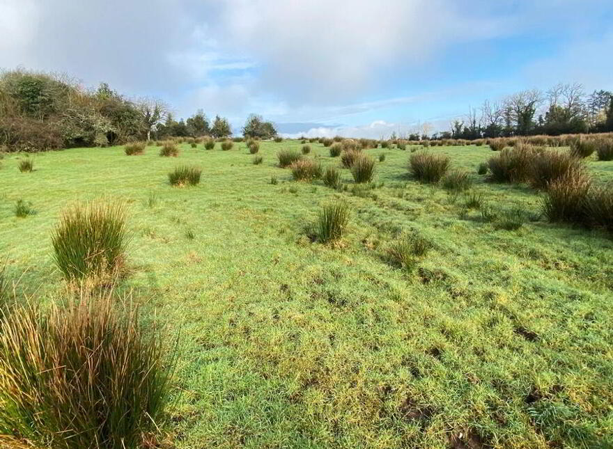 Mullanchose, Ballybofey, F93FC93