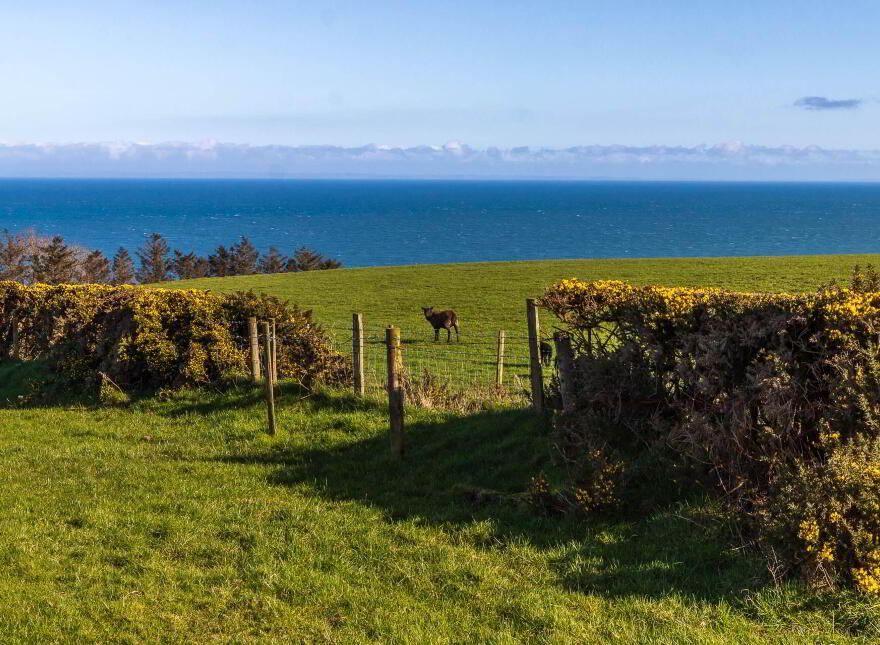 191a Gobbins Road, Islandmagee, Larne, BT40 3TX