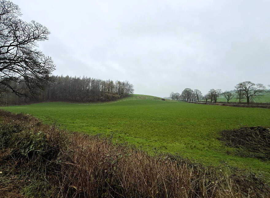 Minterburn Road, Caledon