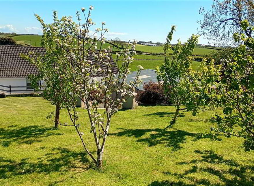 Bungalow With Large Workshop, 16a Ballyblack Road East, Newtownards, BT22 2AB