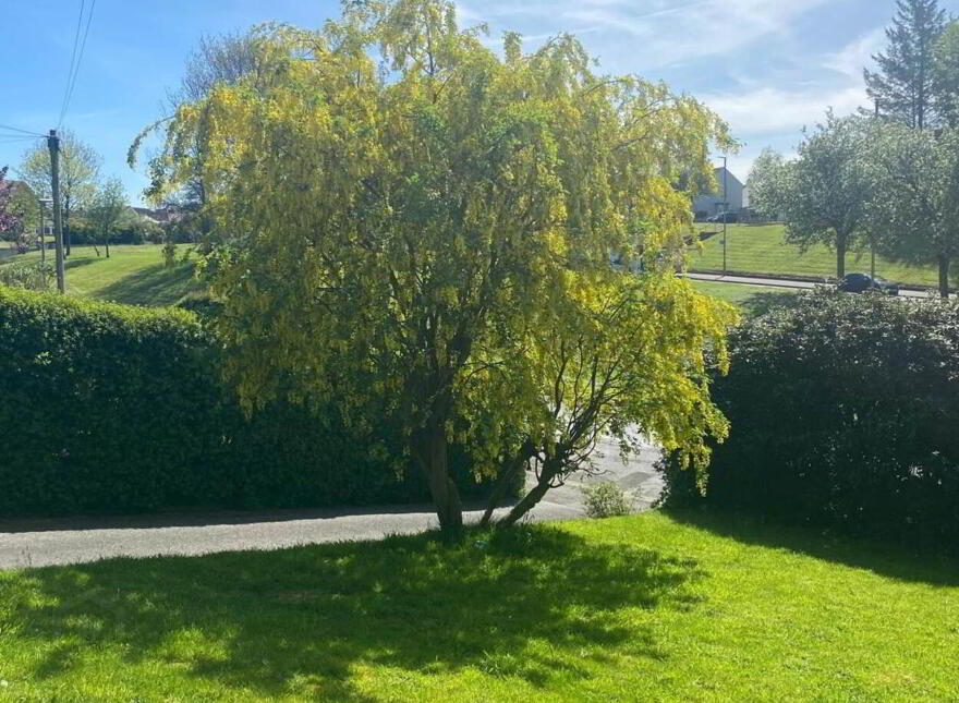 12 Rossdowney Park, Waterside, Derry / Londonderry, BT47 5NR
