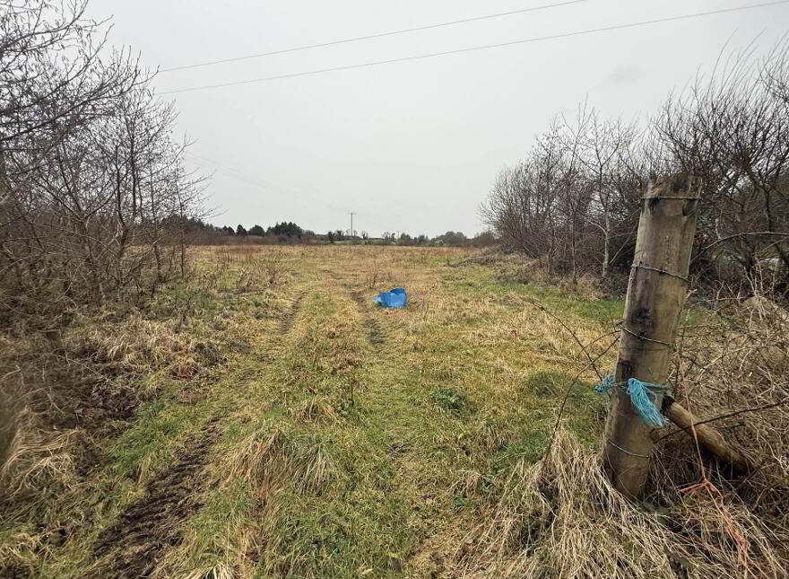 Hazelhill, Ballyhaunis