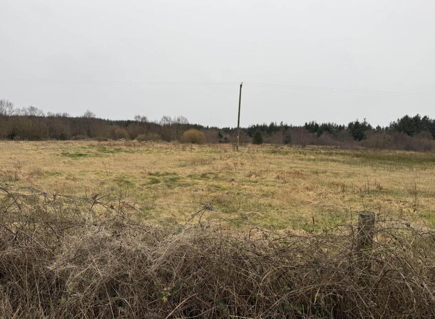 Hazelhill, Ballyhaunis