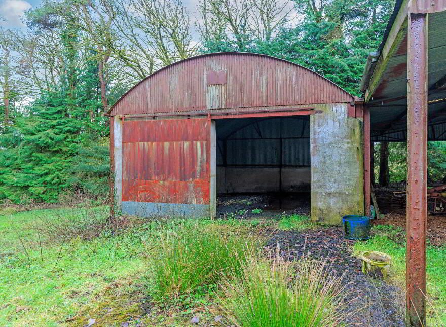 Ballydough, Milestone, Thurles, E41P586