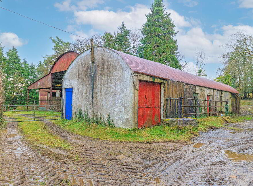 Ballydough, Milestone, Thurles, E41P586