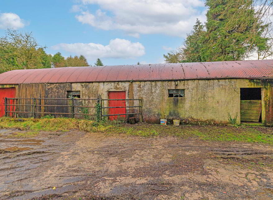 Ballydough, Milestone, Thurles, E41P586