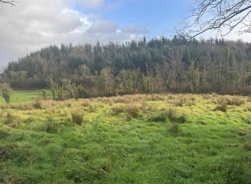 Aghaleague, Ballinamore