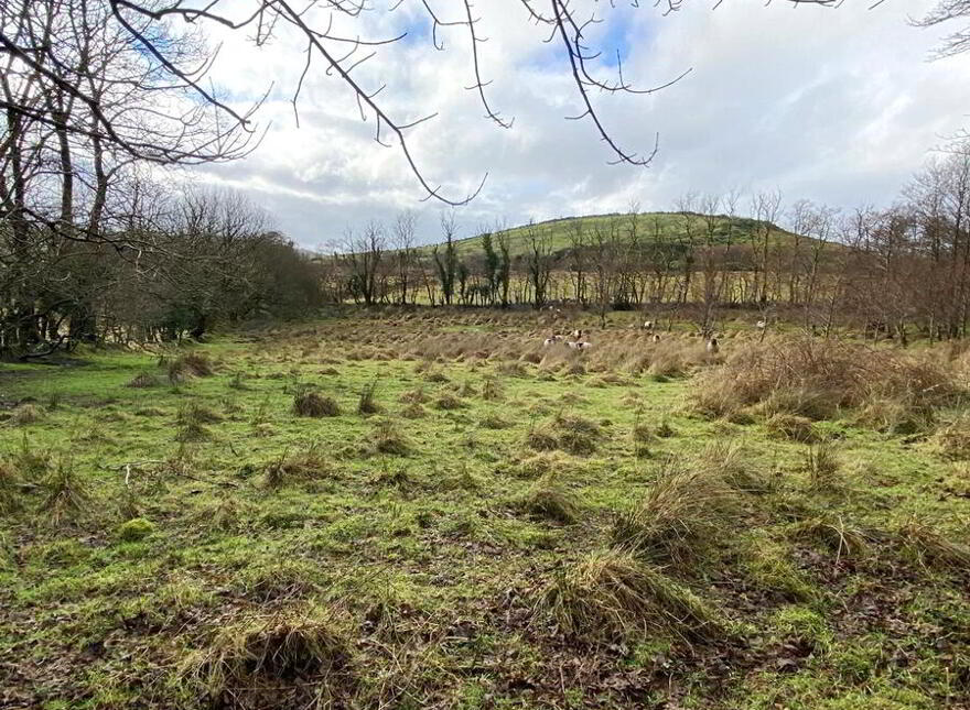 Shannagh, Laghey, F94E4H6