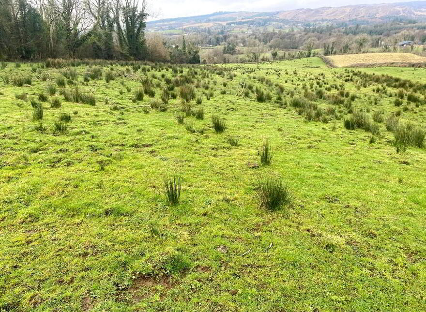 Clardrumnaghan, Clar, Donegal Town
