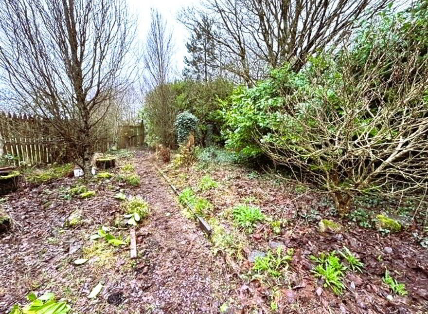 Bushy Park, Kildinan, T56E425