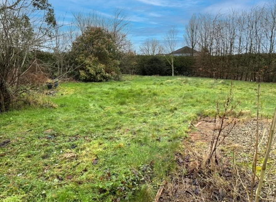 Bushy Park, Kildinan, T56E425