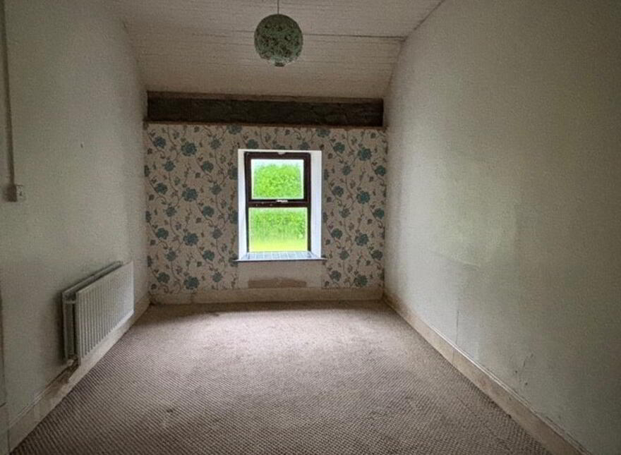Bushy Park, Kildinan, T56E425