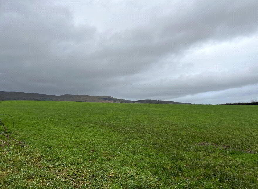 27, 36 Acre Farm Holding With Bungalow + FPP Site, Carrydarragh Road, Moneymore, BT45 7UF