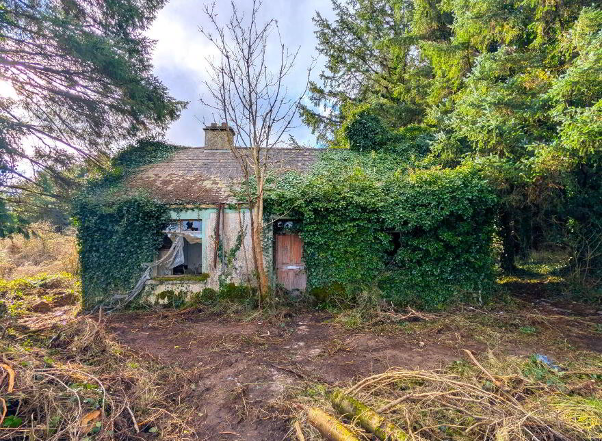Derelict Cottage At Carracastle, Carracastle