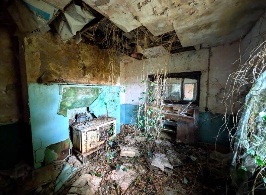 Derelict Cottage At Carracastle, Carracastle