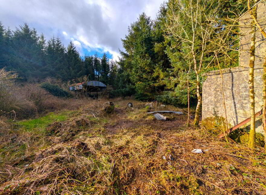 Derelict Cottage At Carracastle, Carracastle