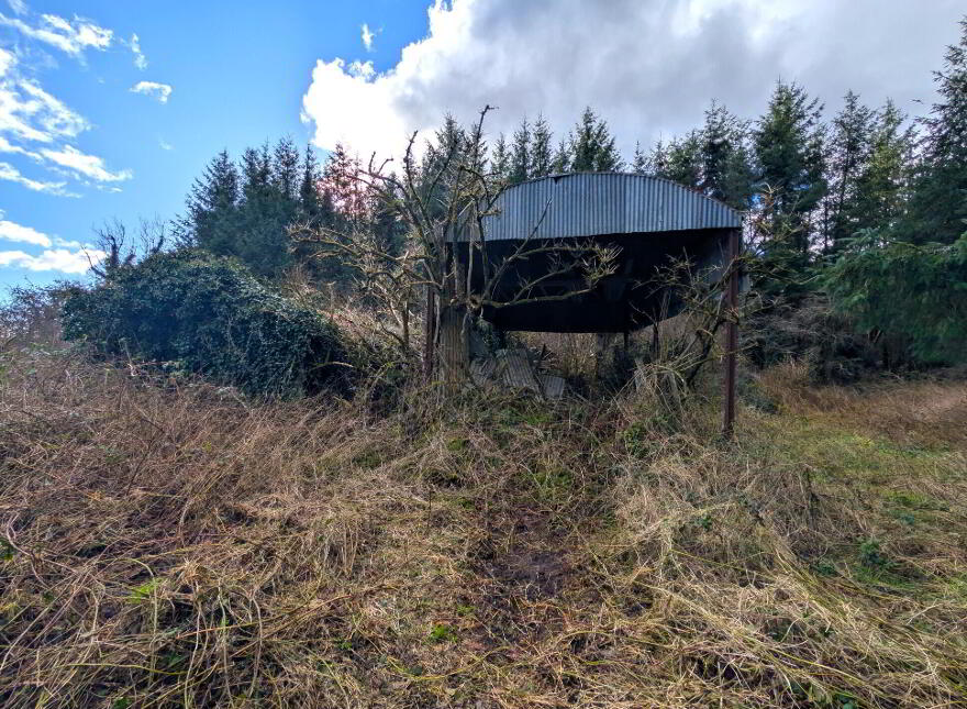 Srah Lower, Ballaghaderreen, Carracastle