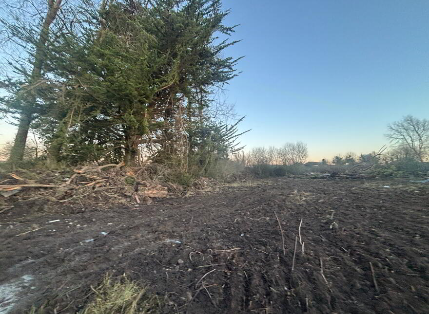 Clonmore, Newtown, Charleville