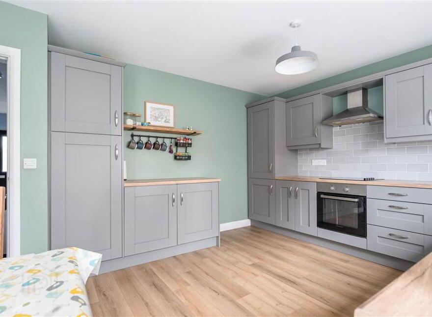 11 Springfields, Kells & Connor, Ballymena, BT42 3FJ