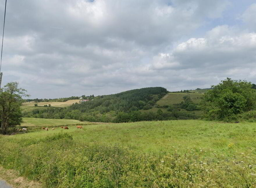O P, P Farm House & C, 55 Acres, Mill Road, Cooneen, Enniskillen, BT94 4FY