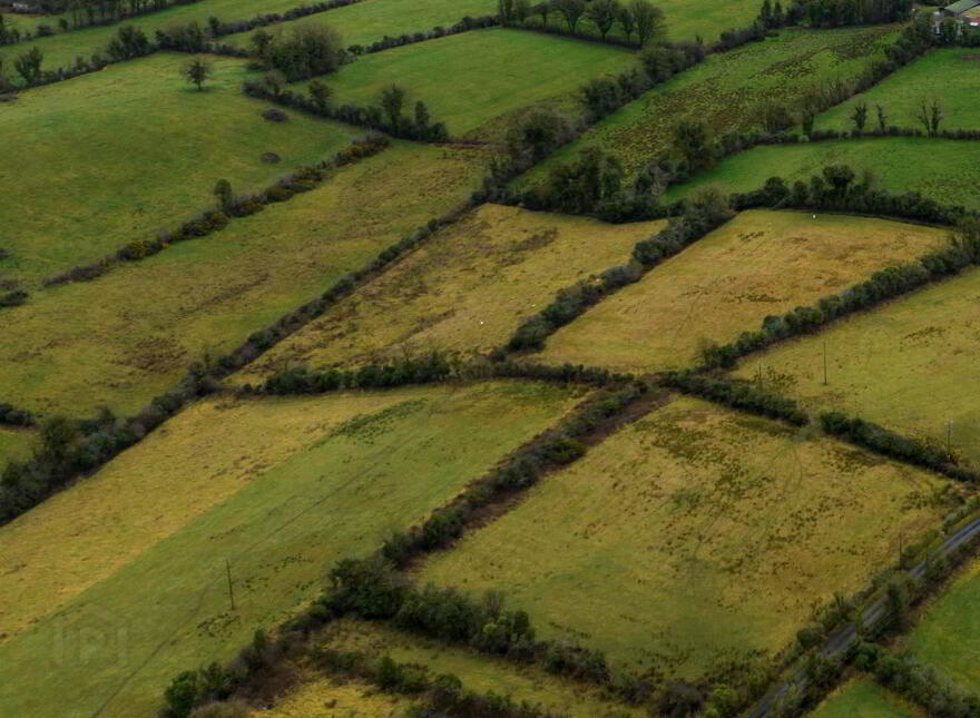 Tanagh, Dartry, Cootehill