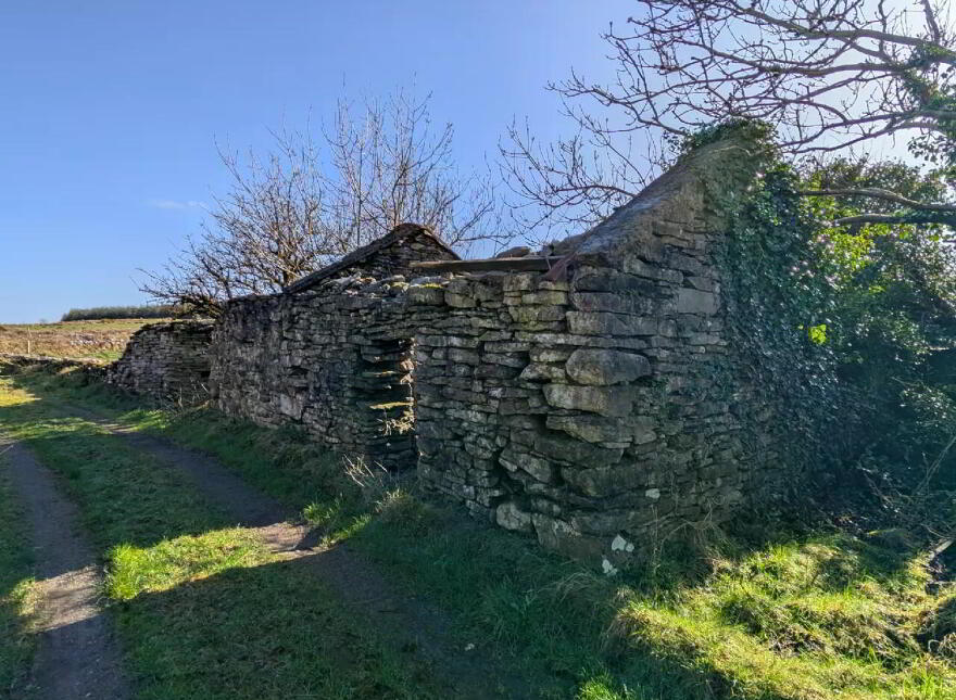 Derryronane, Swinford