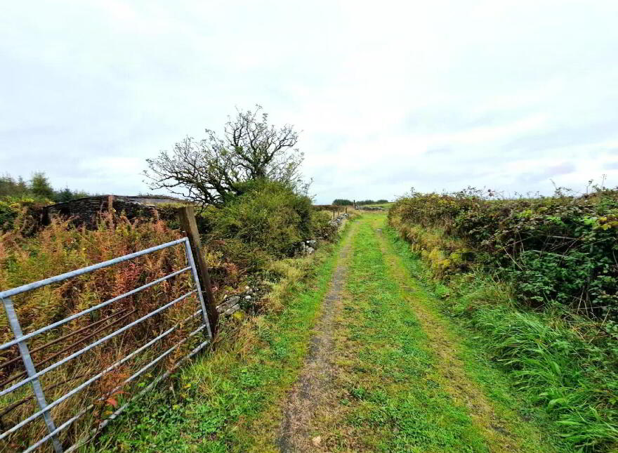 Derryronane, Swinford