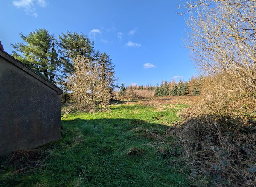 Derryronane, Swinford