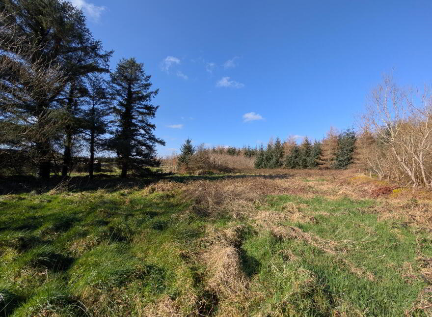 Derryronane, Swinford