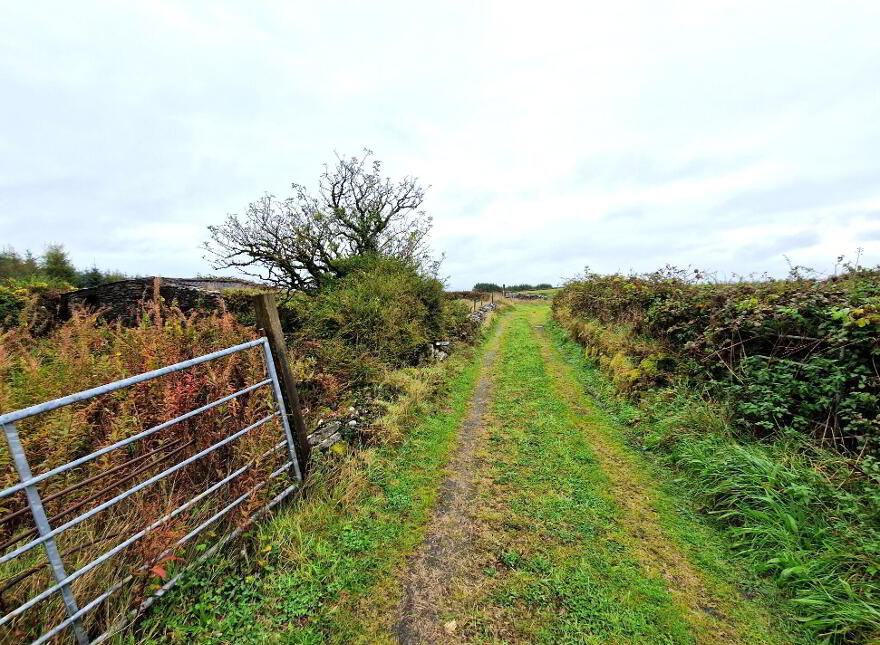 Derryronane, Swinford