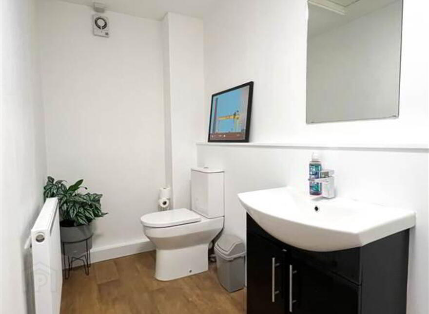 TC Studios, 23 Cregagh Road, Serviced Office Space, Belfast, BT6 8PX