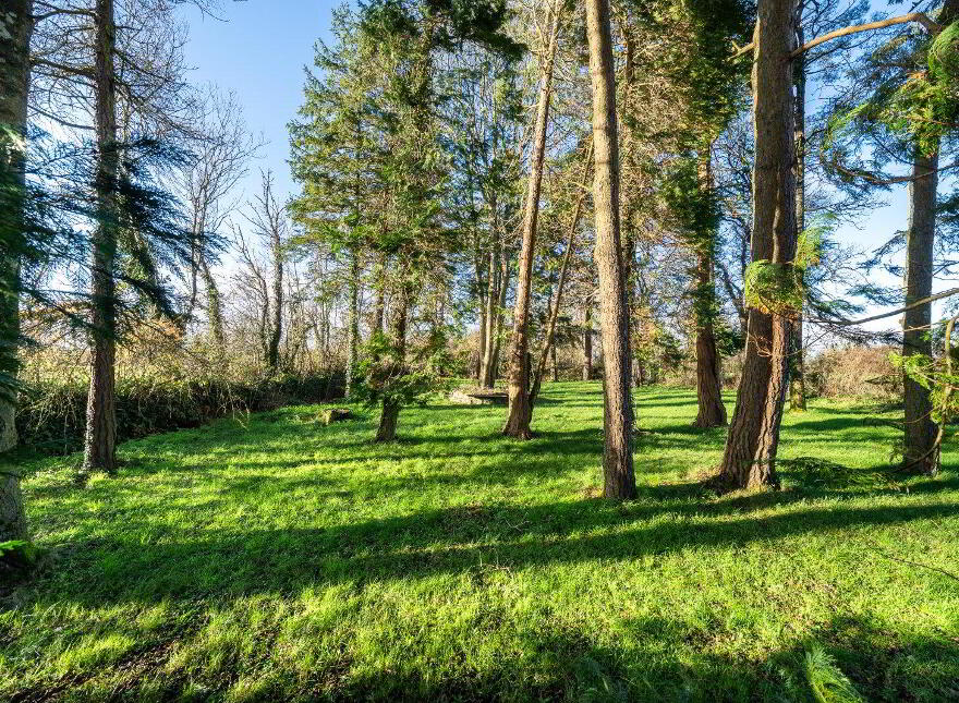 Cloontagh, Newtownforbes, N39PC52