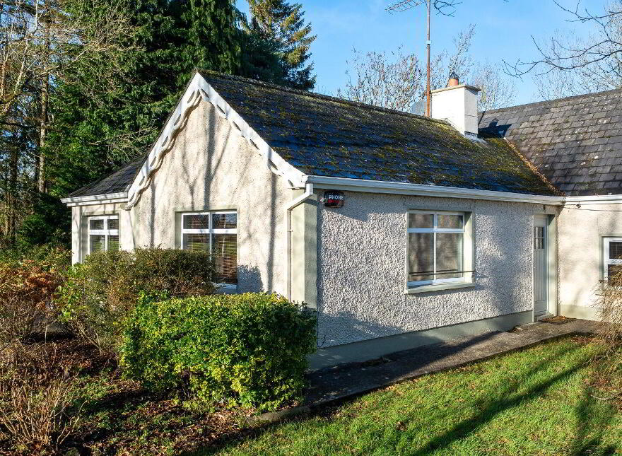 Cloontagh, Newtownforbes, N39PC52