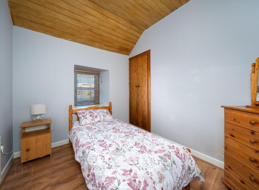 Cloontagh, Newtownforbes, N39PC52