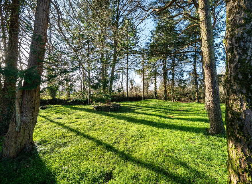 Cloontagh, Newtownforbes, N39PC52