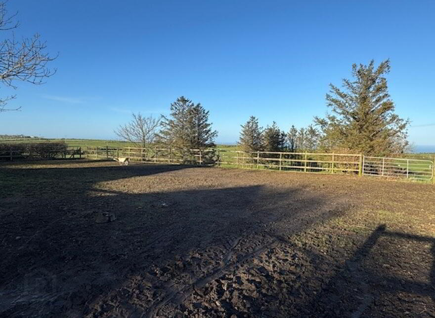 Vine Cottage, 329 Middle Road, Islandmagee, BT40 3TG