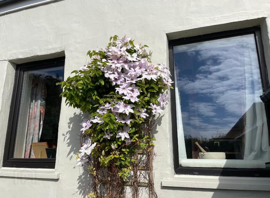 Vine Cottage, 329 Middle Road, Islandmagee, BT40 3TG