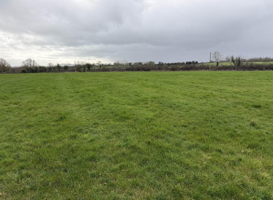 Attyflin, Patrickswell