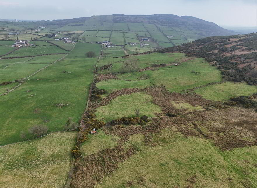 Approx 20 Acres Of Land, Ribadoo Road, Ballyward, Castlewellan, BT31 9SY