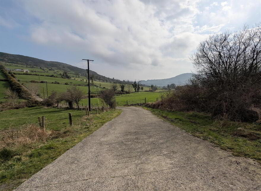 Approx 20 Acres Of Land, Ribadoo Road, Ballyward, Castlewellan, BT31 9SY