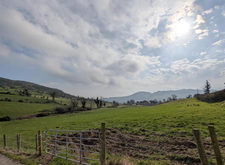 Approx 20 Acres Of Land, Ribadoo Road, Ballyward, Castlewellan, BT31 9SY