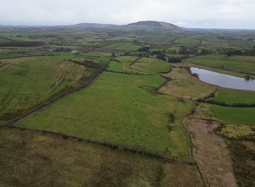 Ardrea, Ballymote, F56X954