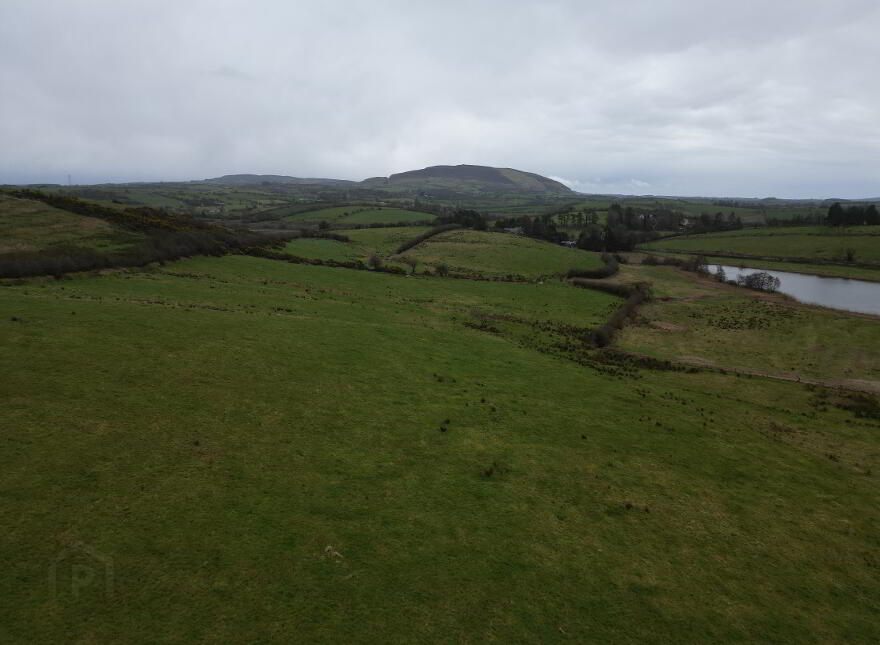 Ardrea, Ballymote, F56X954